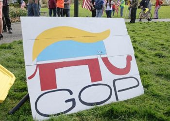 美民調分析：共和黨或在中期選舉中贏得25席