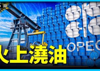 方偉: 俄烏戰火炙熱 歐佩克砍石油產量 世界能咋辦？