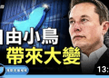 方偉: 小鳥自由了!  馬斯克入主推特 啟動大變局