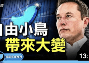方偉: 小鳥自由了!  馬斯克入主推特 啟動大變局