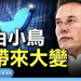 方偉: 小鳥自由了!  馬斯克入主推特 啟動大變局