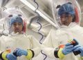 共和黨病毒調查報告出爐:起源恐與中共生化武器計畫有關