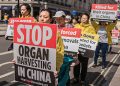 美政論員析中共實施反科學清零政策的真實原因