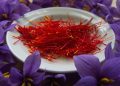因這種花引發戰爭、因這種花制定法律、因這種花舉行節日慶祝......