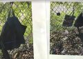 暗殺川普未遂 嫌犯更多細節曝光 首次出庭被控兩項聯邦槍枝罪