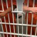 拜登卸任前為37名聯邦死囚減刑為終身監禁