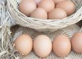 美農業部: 雞蛋價格自10月以來上漲近100％