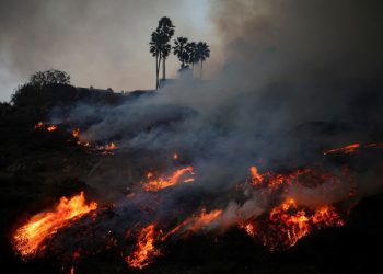 加州史上最慘洛杉磯大火 旅美中國民運人士投入救災