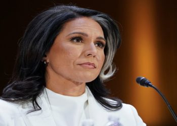 美參院委員會通過加巴德情報總監提名