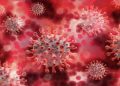 美國發現新型病毒 科學家示警: 人畜共通 致死率70%