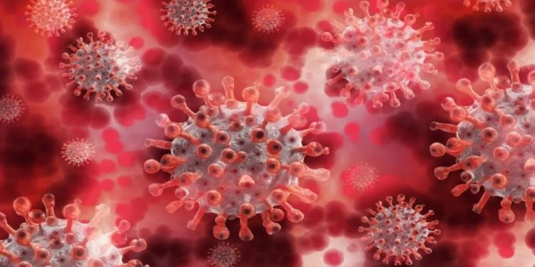 美國發現新型病毒 科學家示警: 人畜共通 致死率70%