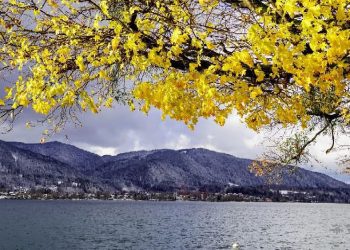 遊覽德國六大高山湖泊 體驗純凈自然之美