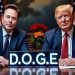 DOGE: 超過20萬張政府信用卡被停用