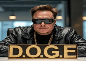 【深度報道】民主黨與DOGE和馬斯克的較量