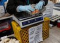 雞蛋和汽油價格下跌 白宮: 川普政府經濟議程帶來的好處
