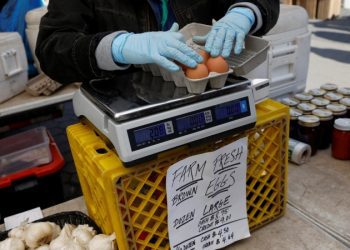 雞蛋和汽油價格下跌 白宮: 川普政府經濟議程帶來的好處