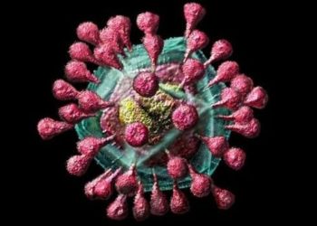 俄羅斯驚傳不明病毒 專家謹慎 當局否認