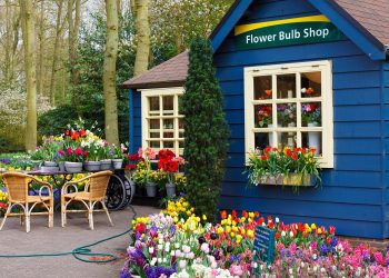 荷蘭旅行和生活的實用App