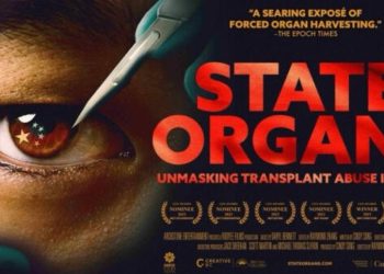 「國有器官」瑞典政治周放映  專家：中共才是最危險的威脅