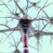 武漢研究人員被控向美國實驗室走私生物材料