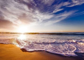 因細菌超標 美多州7月4日假期前關閉部分海灘 衛生風險引發警惕