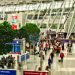 歐盟將禁止航空公司對手提行李收取額外費用