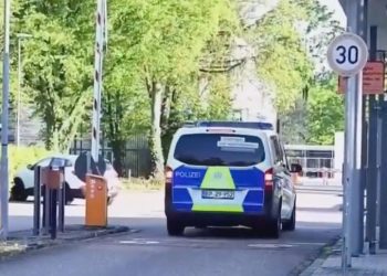 涉嫌從事間諜活動 德選項黨議員前華裔助理出庭受審