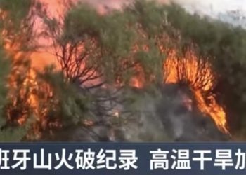 西班牙遭最嚴峻的野火季 37萬公頃火災面積超歷史之最