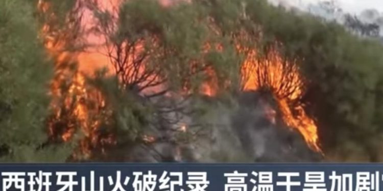 西班牙遭最嚴峻的野火季 37萬公頃火災面積超歷史之最