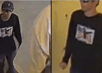 【快訊】川普證實柯克遇刺案嫌疑人被捕