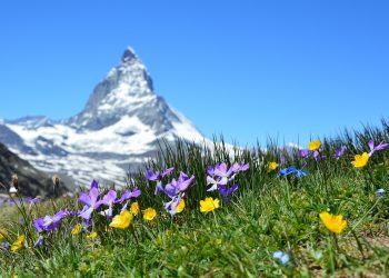 外籍人士到瑞士工作 要繳納哪些稅？
