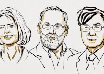 2025年諾貝爾獎首獎出爐 美日三科學家共享生理學或醫學獎殊榮