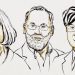 2025年諾貝爾獎首獎出爐 美日三科學家共享生理學或醫學獎殊榮