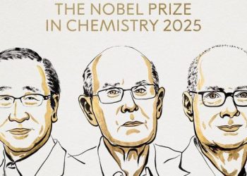 日英美科學家三足鼎立 共享2025諾貝爾化學獎