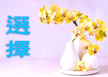 發生在巴黎景點的兩個小故事