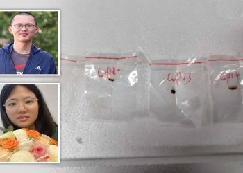 中國研究員在美國走私案中認罪 將被迅速遣返