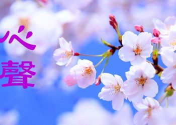 德國旅遊景點——那些觸動人心的瞬間