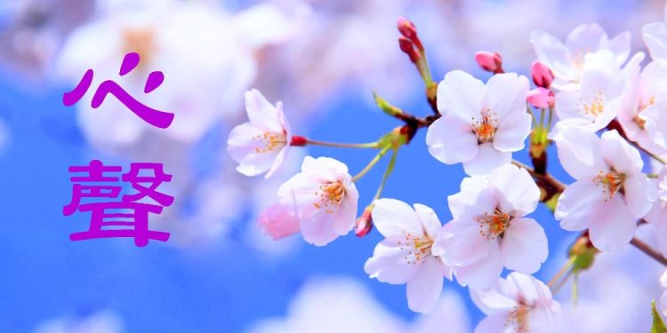 德國旅遊景點——那些觸動人心的瞬間