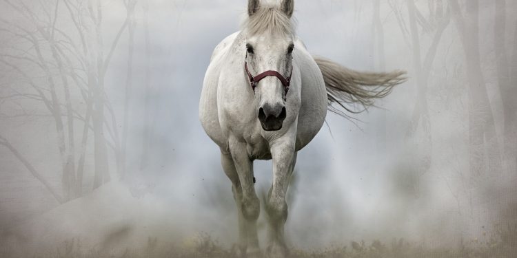 奧地利趣聞：要注意哪些莫名其妙的禁忌？