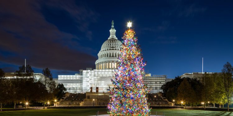 川普政府推出假日平價計畫：一棵聖誕樹一美元