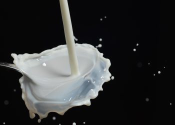 美國國會通過《全脂牛奶促進兒童健康法案》：擬恢復學校全脂牛奶供應