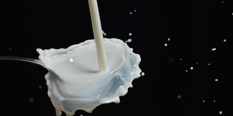 美國國會通過《全脂牛奶促進兒童健康法案》：擬恢復學校全脂牛奶供應