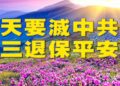 巴黎重逢：一名中國留學生五年間的心理轉變