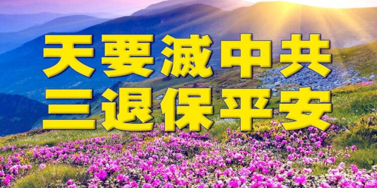 巴黎重逢：一名中國留學生五年間的心理轉變