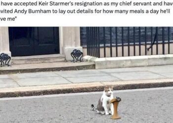 斯塔默今宣布辭職 英國“第一貓”15年送走6任首相