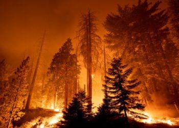 歐洲野火肆虐 一戰二戰未爆彈隱患浮現